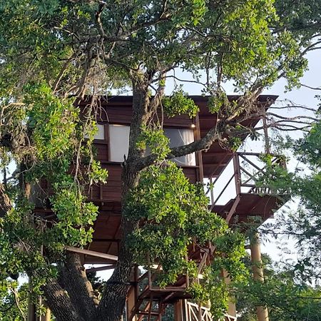 فندق Leopard Nest - Glamping In يالا المظهر الخارجي الصورة