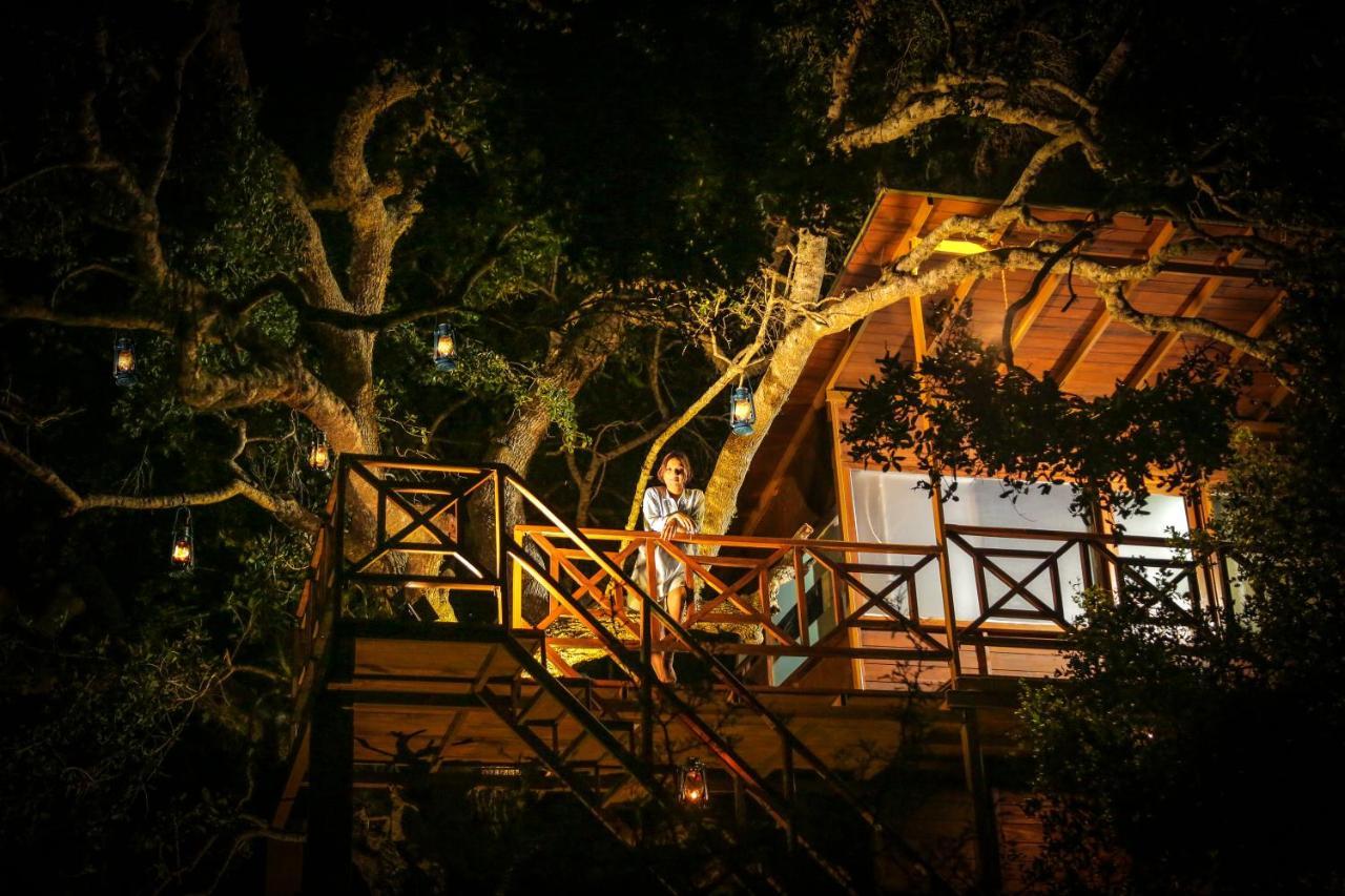 فندق Leopard Nest - Glamping In يالا المظهر الخارجي الصورة