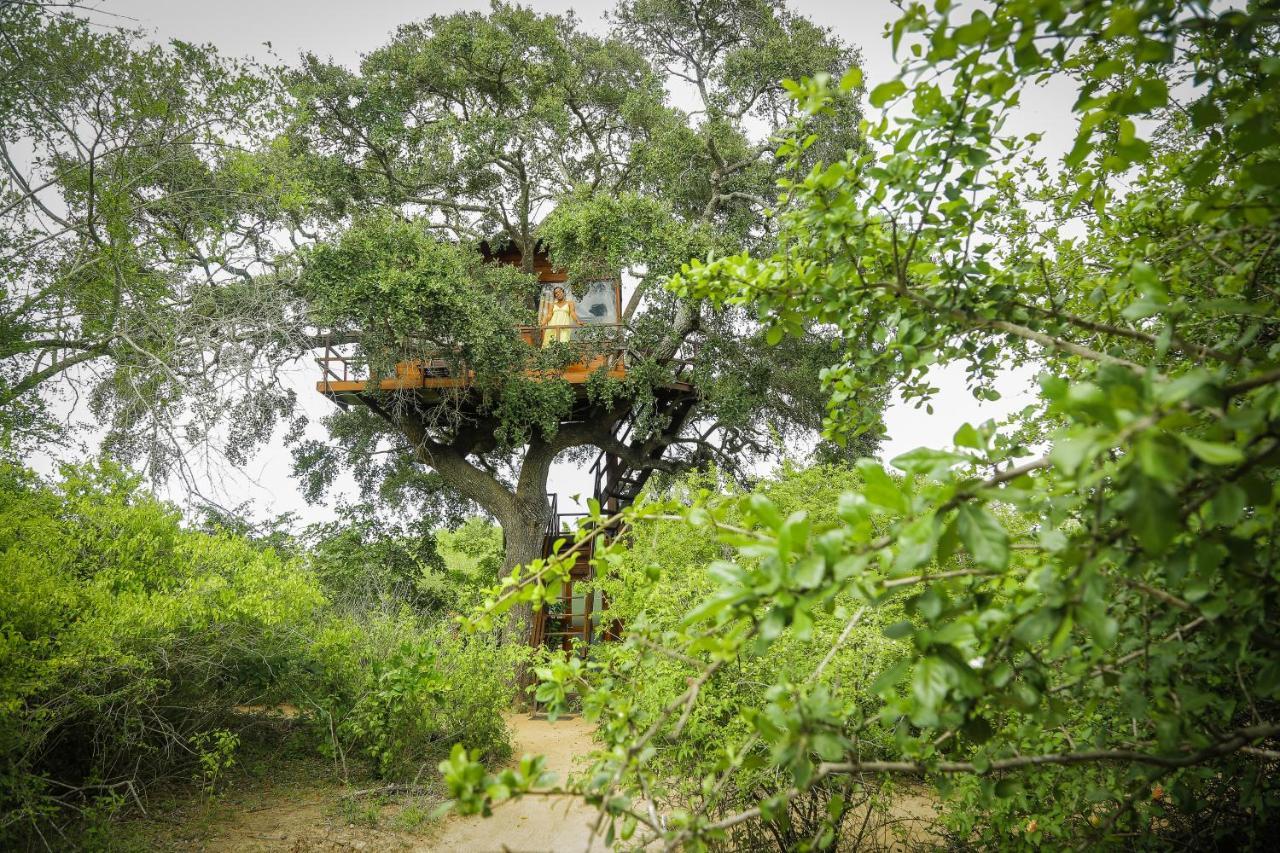 فندق Leopard Nest - Glamping In يالا المظهر الخارجي الصورة