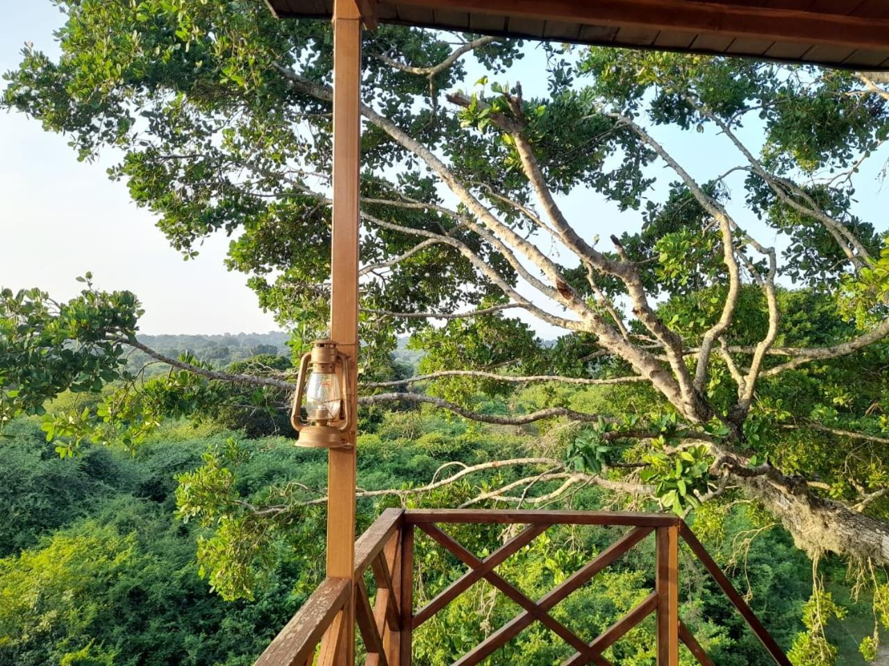 فندق Leopard Nest - Glamping In يالا المظهر الخارجي الصورة