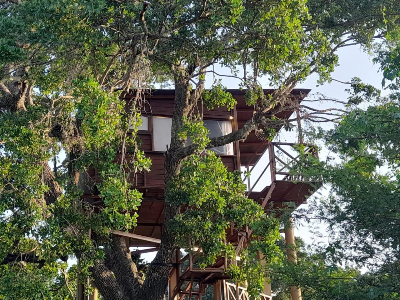 فندق Leopard Nest - Glamping In يالا المظهر الخارجي الصورة
