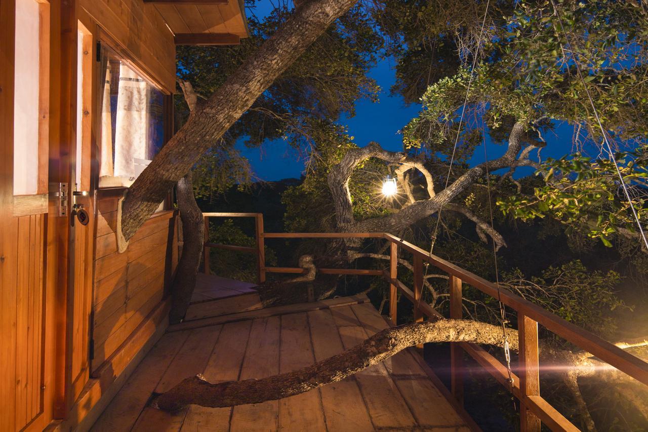 فندق Leopard Nest - Glamping In يالا المظهر الخارجي الصورة